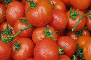 Tomater til tomatfrø